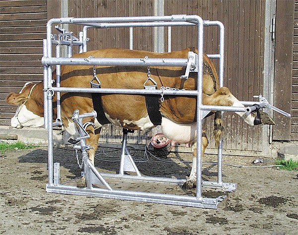 Klauenpflegestand Compact, verzinkt - Weidetec