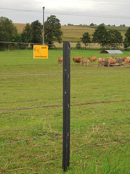 Kunststoff-Pfosten 1,85 m Kreuzprofil, gespitzt (Pal. mit 120 Stück) - Weidetec