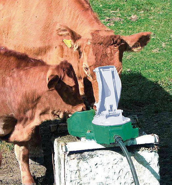 Membran-Weidepumpe, Aquamat Mutterkuh inkl. Schlauchanschluss-Stutzen 1" und Schlauchschelle - Weidetec
