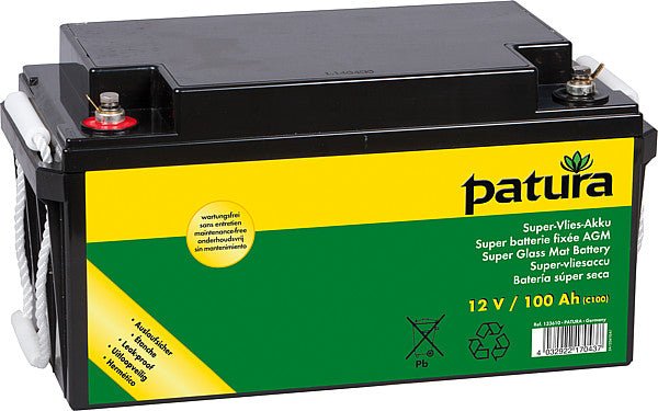 Super-Vlies-Akku 12 V / 100 Ah C100 wartungsfreie Vliesbatterie mit Tragegriffen - Weidetec