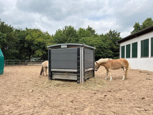 Automatisierte Growi®-Futterraufe mit HUESKER-Fütterungssteuerung - Pferdegerecht und effizient für optimale Pferdehaltung mit automatischen Fütterungszeiten 2 x 3 m