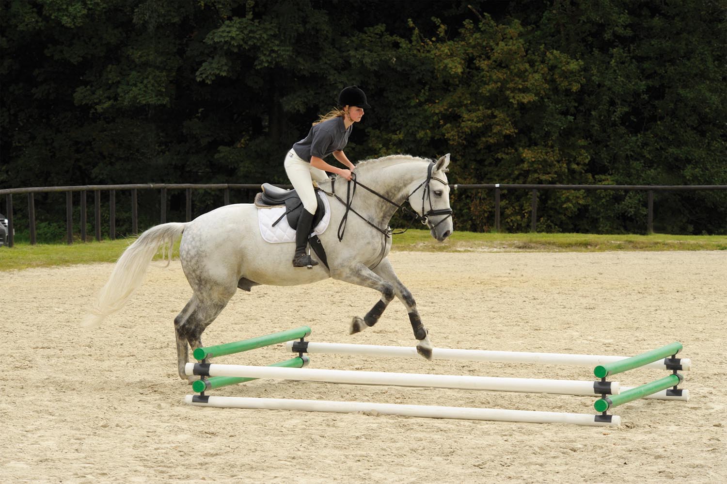 WINGX-SYSTEM: 12 Stangenaufsätze für abwechslungsreiches Pferdetraining