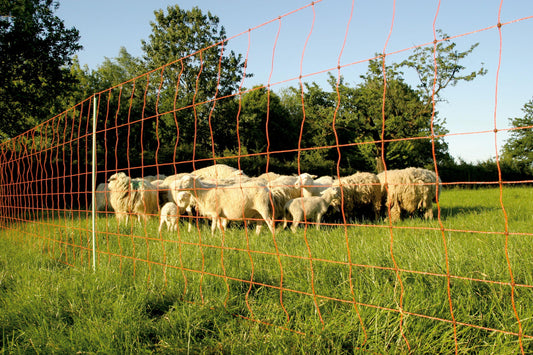 Euro-Netz Extra 90/2 - Die Perfekte Wahl für Schafe, Lämmer und Ziegen