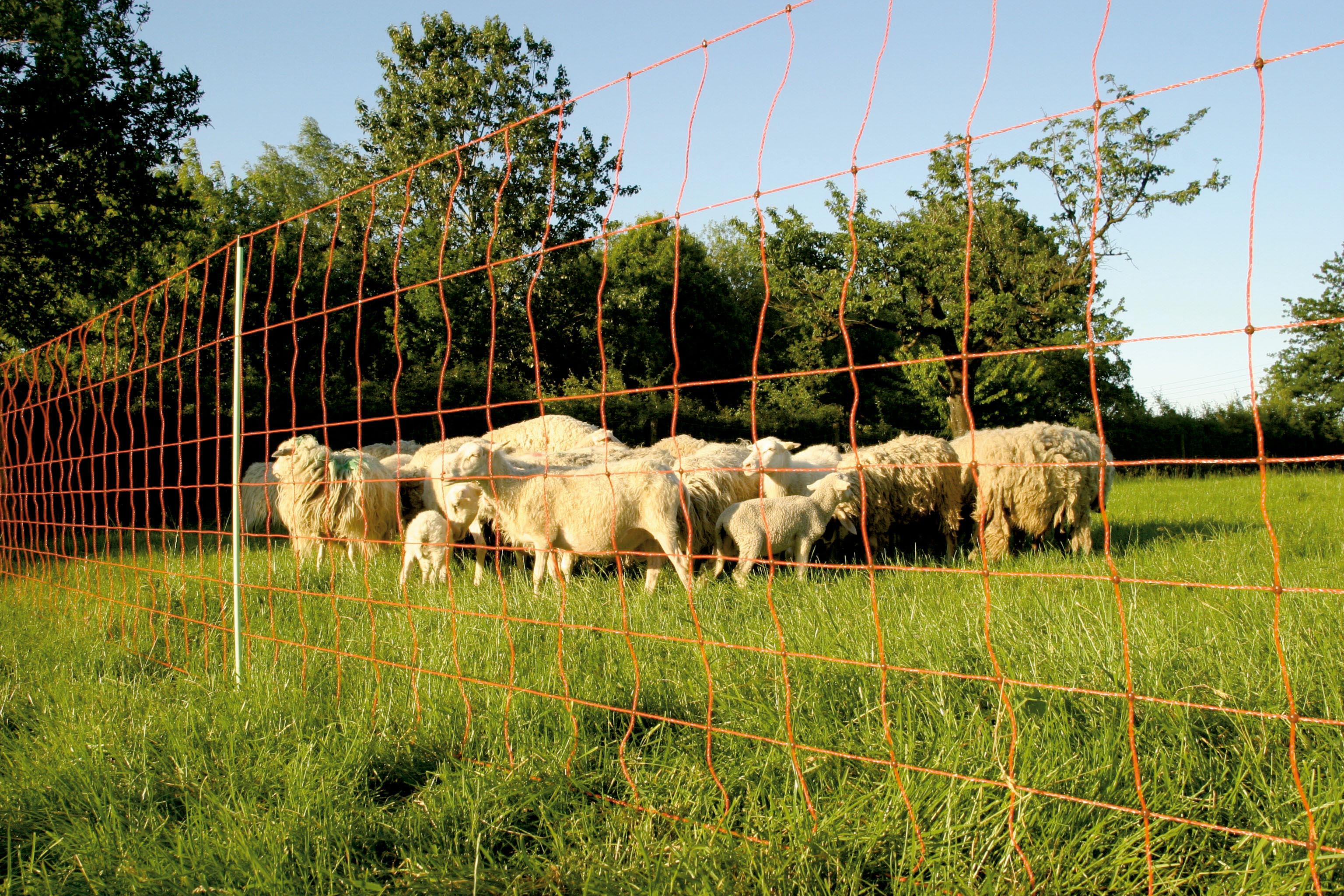 Euro-Netz Extra 90/1 - Zuverlässiger Schutz für Schafe, Lämmer und Ziegen