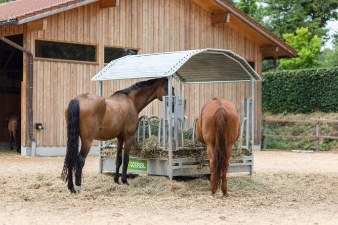 Kerbl Viereckraufe 2 x 2 m mit Palisadenfressgitter: Robuste Universalraufe für Pferde und Rinder