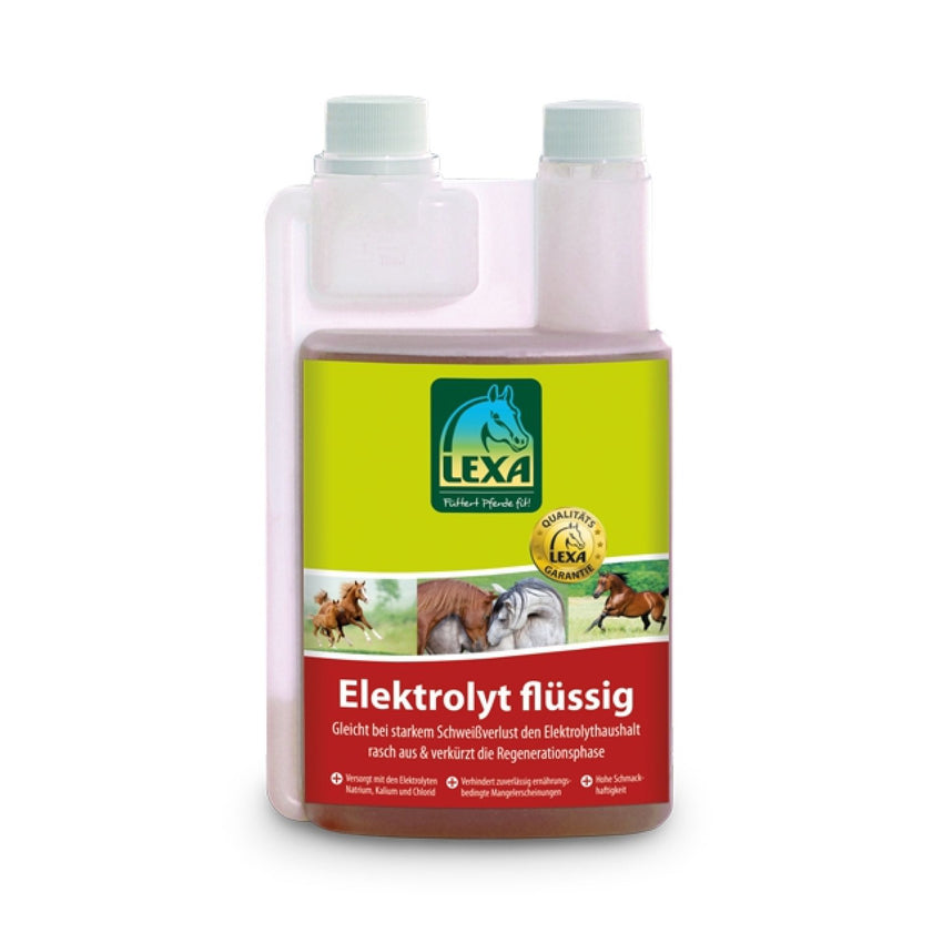 Elektrolyt flüssig