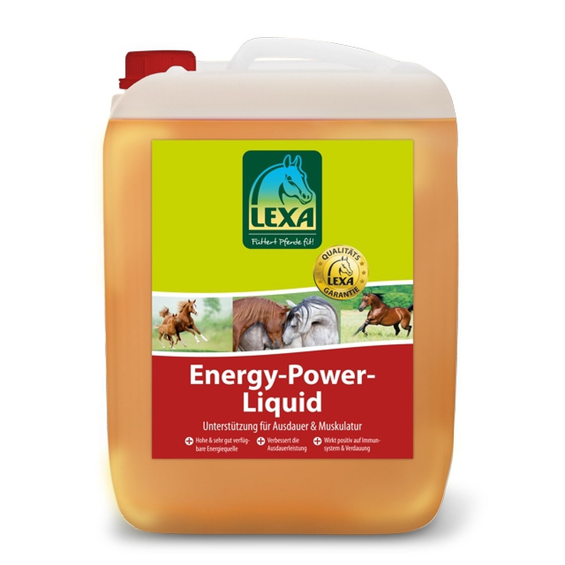 Energy-Power-Liquid