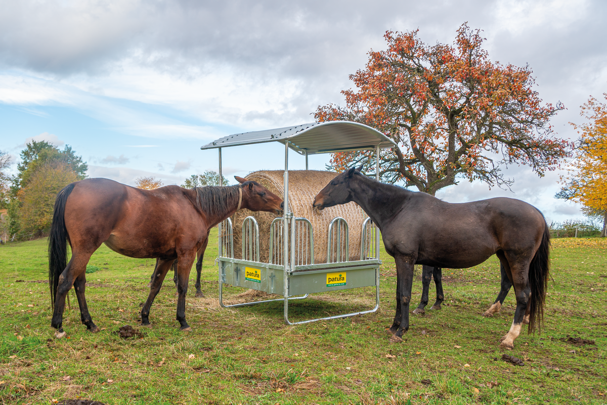 Square rack with safety palisade feeding grids, 8 feeding places - cattle