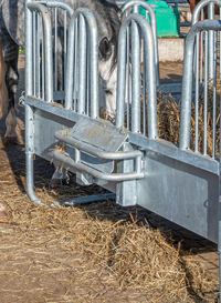 PATURA Compact square rack with safety palisade feeding grids