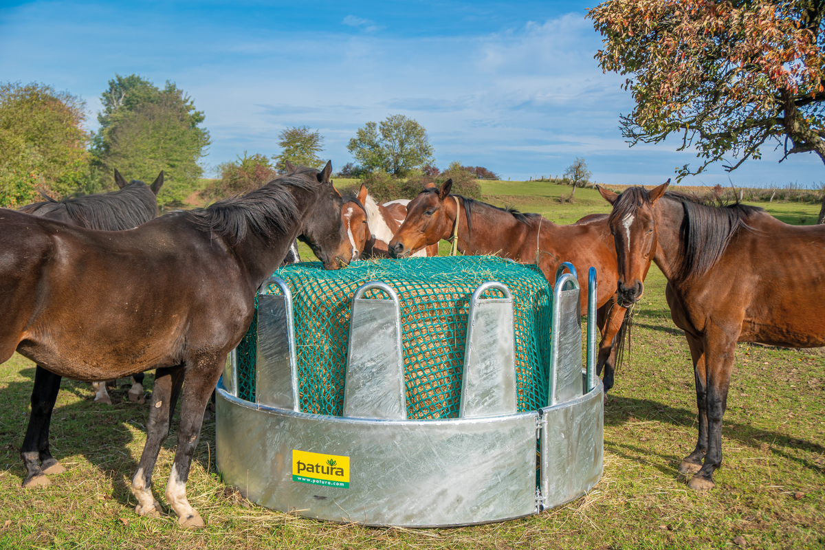 Round rack for horses