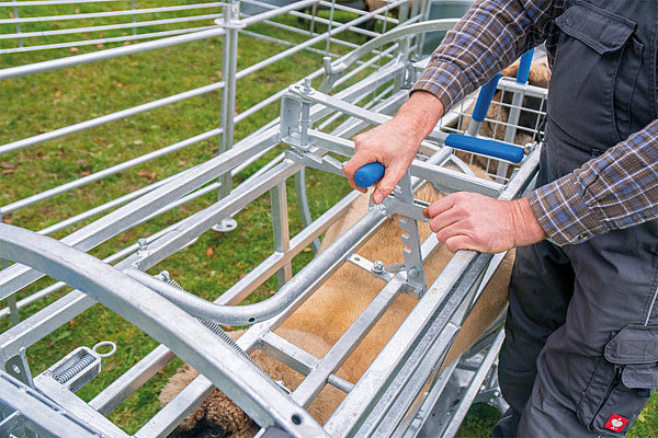 Reversible box for sheep, galvanized, including chassis