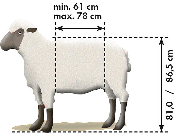 Fang- und Behandlungsstand "Typ XL" für effiziente Schafhaltung