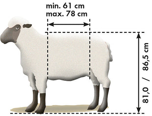 Catching and treating stand for sheep type XL, galvanized