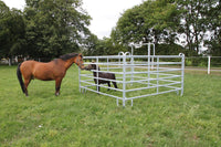 Complete panel box set 3000 x 3600 mm – versatile shelter for the farm and agriculture
