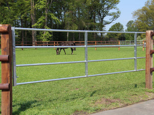 Adjustable Comfort Line pasture gate - Robust steel construction for flexible pasture projects