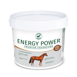 ATCOM ENERGY POWER - 6kg