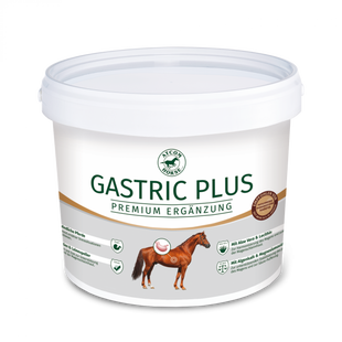 ATCOM GASTRIC PLUS