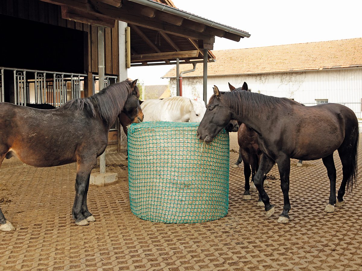 Heunetz für Rundballen: Futtereffizienz und Pferdegesundheit im Fokus