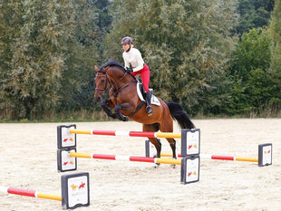 Ingrid Klimke Cavaletti: Innovatives Trainingsgerät für Pferde