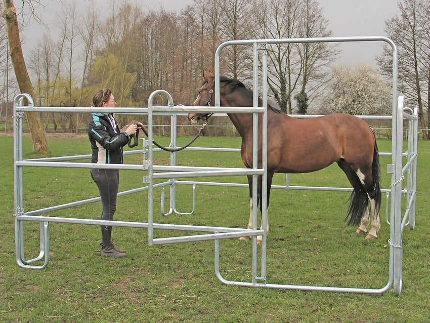 Komplettset Panelbox 3000 x 3600 mm – Vielseitiger Unterstand für Hof und Landwirtschaft