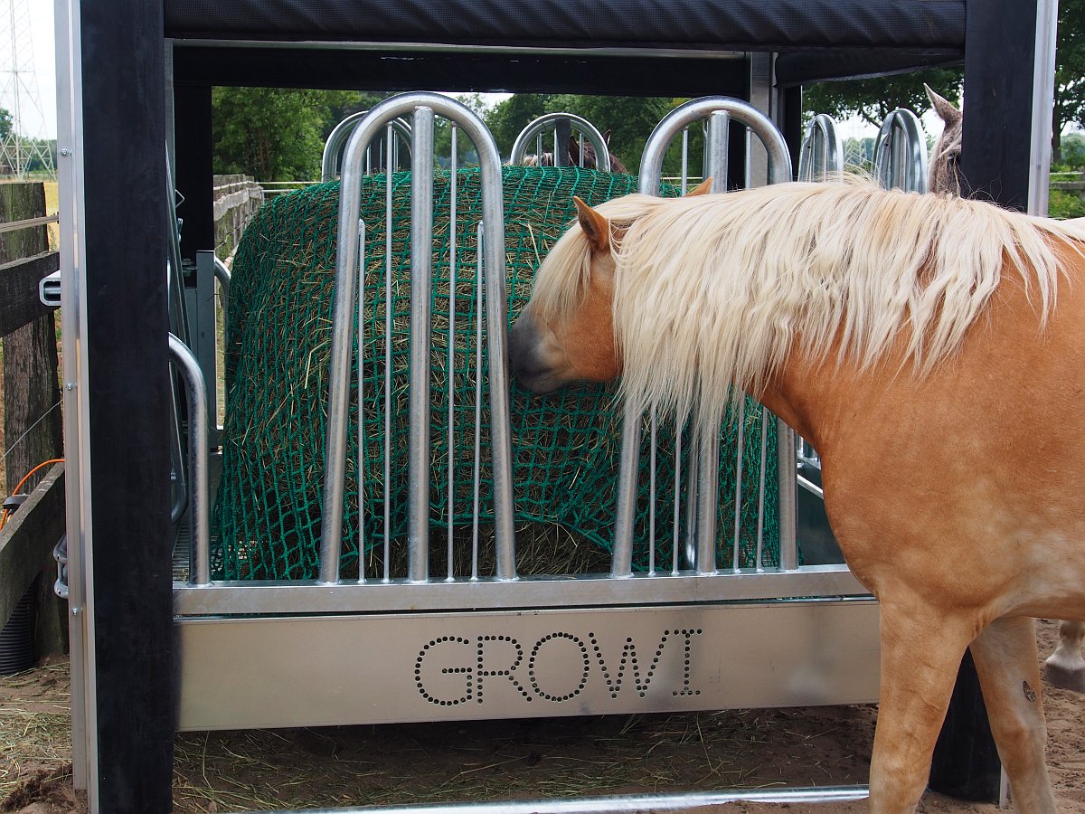 Automatisierte Growi®-Futterraufe mit HUESKER-Fütterungssteuerung - Pferdegerecht und effizient für optimale Pferdehaltung mit automatischen Fütterungszeiten 2 x 3 m
