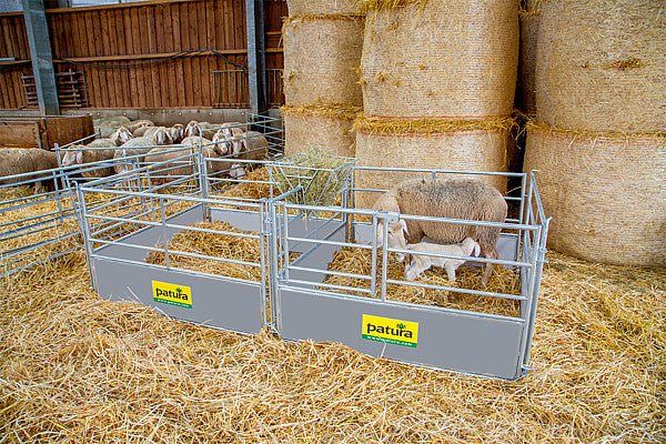 Horde für Ablammbucht 1,20 m - Weidetec