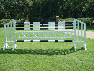 Complete Adelino course: 5 obstacles for versatile jumping training