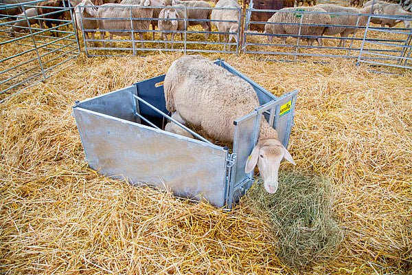 Kopie von Adoptionsbox für Lämmer Starterset mit 2 Seitenteilen verzinkt, für Schafe - Weidetec