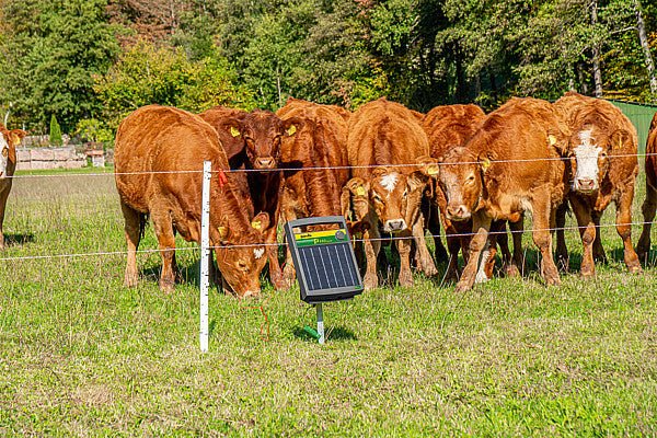 P70 Solar, Weidezaun-Gerät