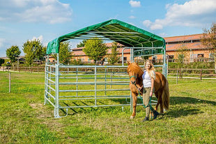 Patura Panel-Dach 3 m x 3,6 m: Stabile Konstruktion für effektiven Wetterschutz