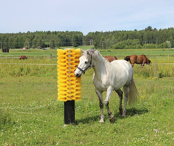 Pfahlbürste mit Bodenplatte für Rinder und Pferde