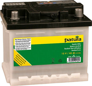 Standard battery 12 V / 125 Ah C100