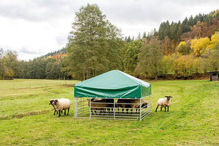 Steckfix roof 2.75 mx 2.75 m: Mobile protection for sheep