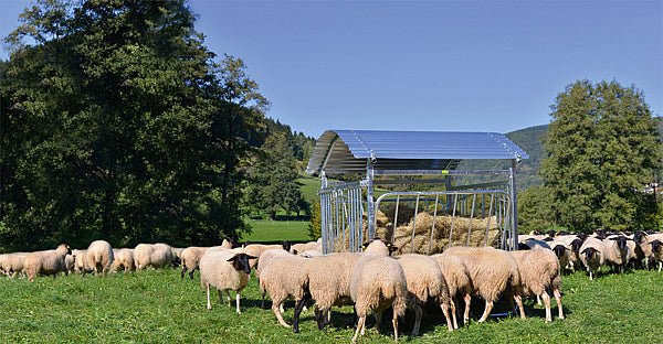 Viereckraufe für Schafe, mit Dach, verzinkt - Weidetec