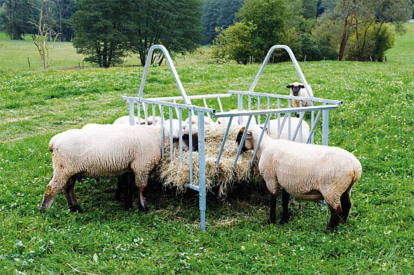 Viereckraufe Standard, 28 Fressplätze verzinkt für Schafe - Weidetec