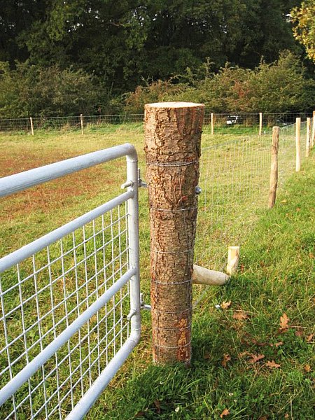 Weidetor 4,0 m, mit Gitter, verzinkt inkl. Montageteile