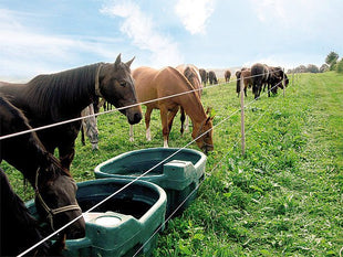 Pasture trough mod. WT1500 without float valve 