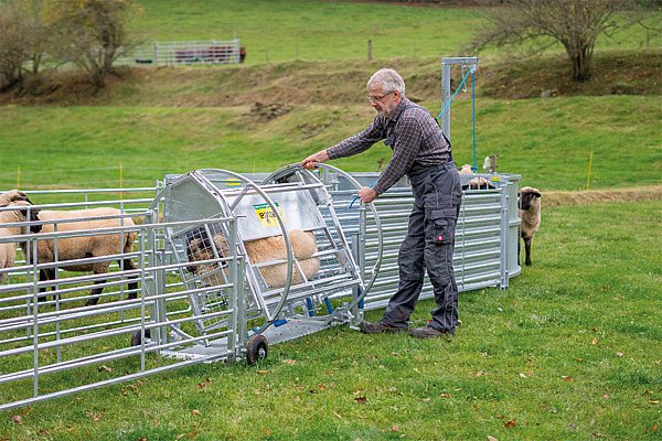 Wendebox für Schafe verzinkt, inkl. Fahrwerk - Weidetec